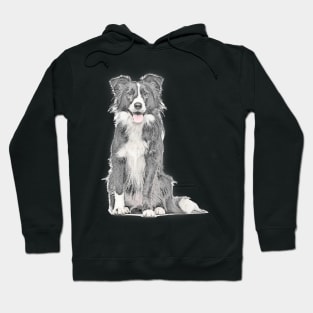 Pastoral Dog Hoodie